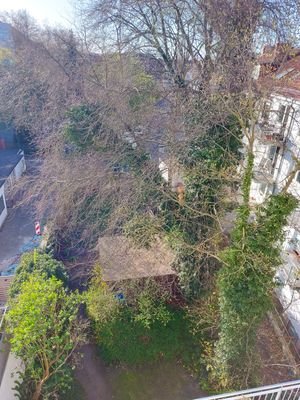 Blick Garten.jpg
