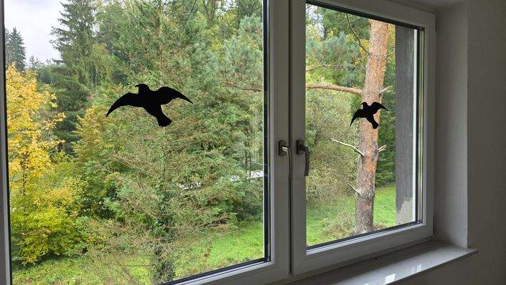 Kunststofffenster 3 fach verglast