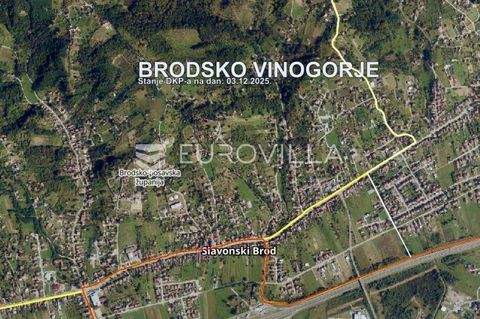 Slavonski Brod Bauernhöfe, Landwirtschaft, Slavonski Brod Forstwirtschaft