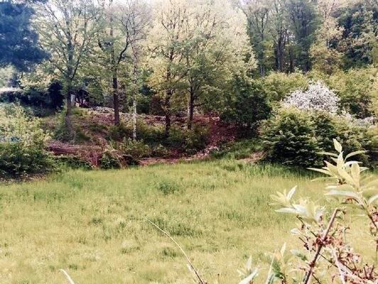 Steingarten zum Nachbarn