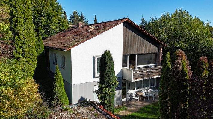 Ansicht Luft von vorne