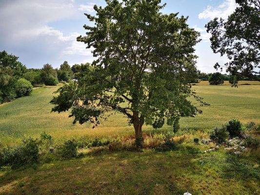Blick aus dem Fenster