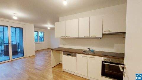 Wien Wohnungen, Wien Wohnung mieten