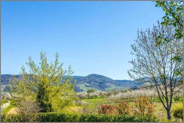 Ausblick oberer Garten