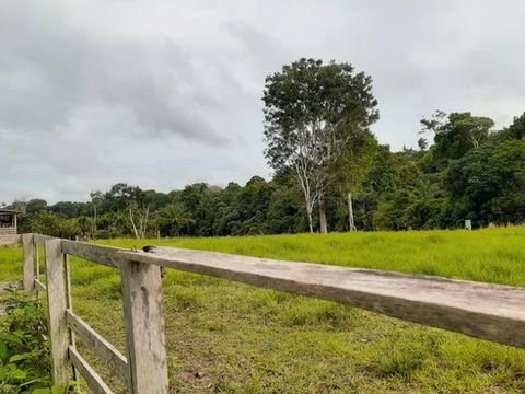 Manaus Grundstücke, Manaus Grundstück kaufen