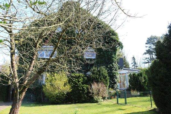 Blick aus dem Garten