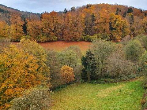 Bad Herrenalb Wohnungen, Bad Herrenalb Wohnung kaufen