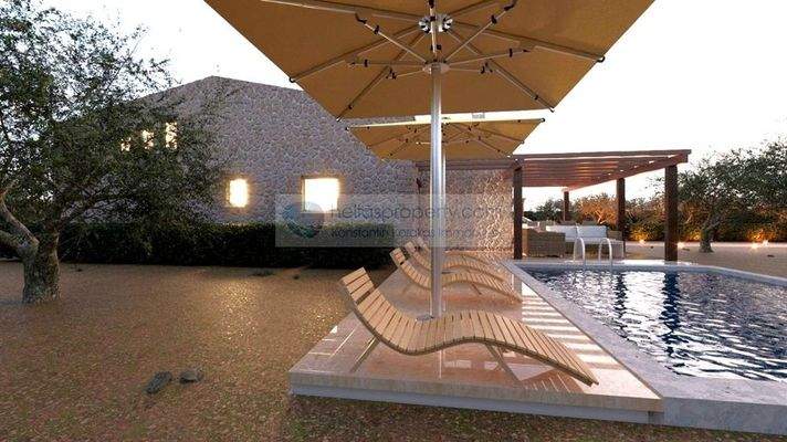 img_60d57867-be10-4eef-b1fb-c11d15c54ba6