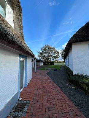 Blick Richtung Garten