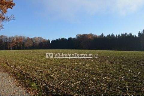 Schöffelding Bauernhöfe, Landwirtschaft, Schöffelding Forstwirtschaft