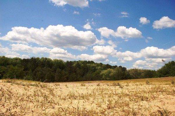 Heiligenseer Baumberge