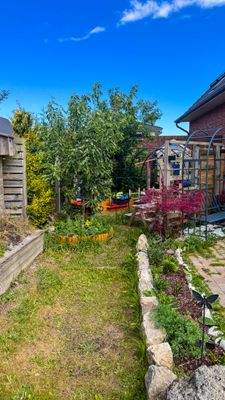 Garten mit Bäumen, Stauden und Beeten