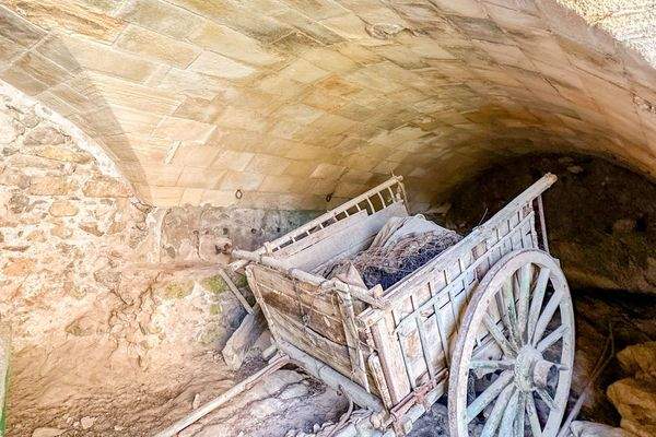 historischer Eselkarren