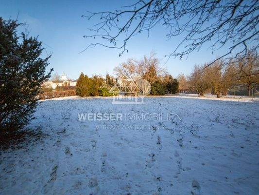 Grundstück - Garten