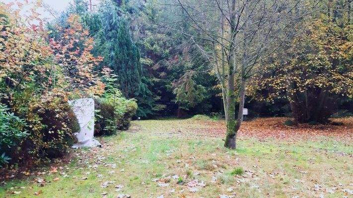 Teil vom Grundstück