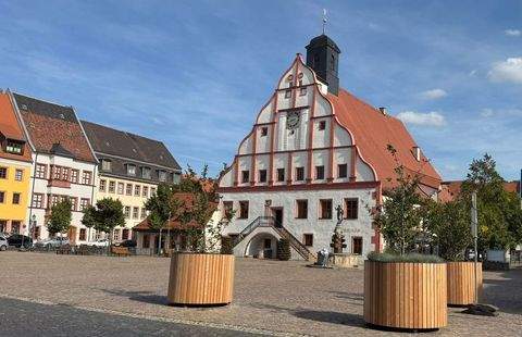 Grimma Häuser, Grimma Haus kaufen