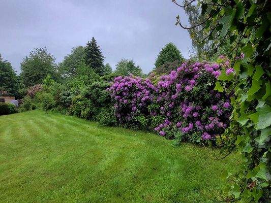 Blick ins Grundstück