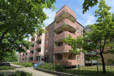 Dessau-Roßlau Wohnungen, Dessau-Roßlau Wohnung mieten