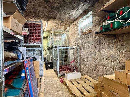 Foto 21.10.25, 14 35 35