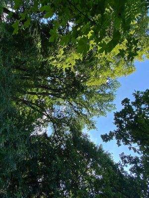 Schlosspark (12).JPG