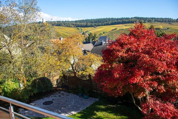 Blick vom Balkon