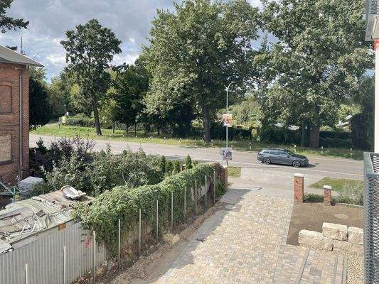 Blick auf Straße und Bäume