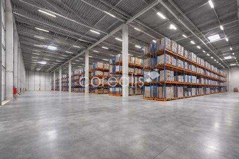 Essen Halle, Essen Hallenfläche