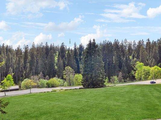 Balkon - Aussicht Mitte