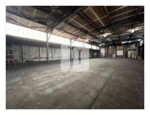 Hamburg Halle, Hamburg Hallenfläche