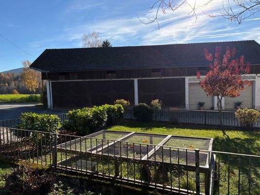 2025-11-05 13.33.57.jpg