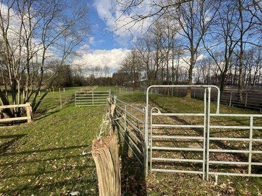 16 - Weide mit Roundpan.jpg