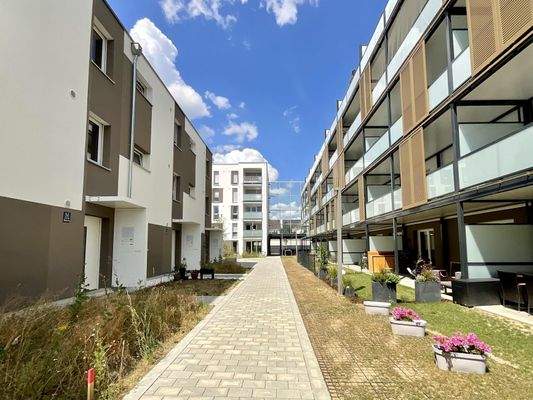 Außenansicht Garten