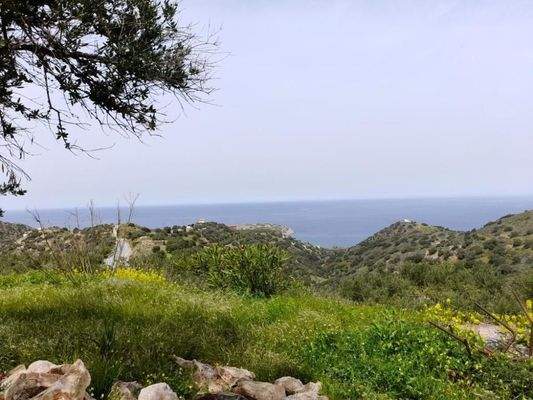 Kreta, Mochlos: Steinhaus mit Meerblick zu verkaufen