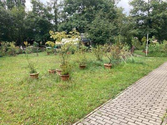 Garten zur gemeinschaftlichen Nutzung