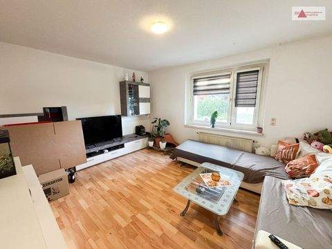 Grünhain-Beierfeld Wohnungen, Grünhain-Beierfeld Wohnung mieten