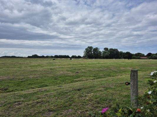 PHOTO-2025-12-06-05-20-32 4.jpeg