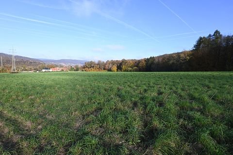 Hann. Münden Bauernhöfe, Landwirtschaft, Hann. Münden Forstwirtschaft