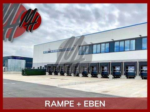 Gernsheim Halle, Gernsheim Hallenfläche