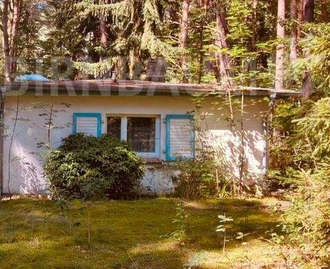 Lubmin Häuser, Lubmin Haus kaufen