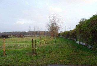 Blick auf das Wohngrundstück