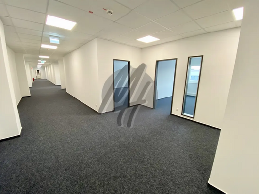 INFOS UNTER: 06171-586000