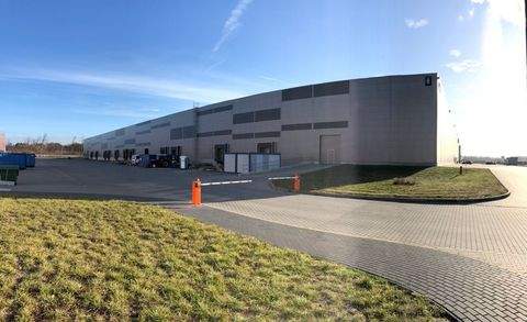 Malacky Halle, Malacky Hallenfläche