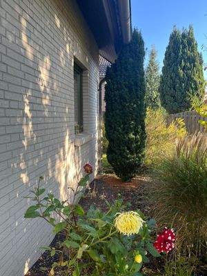 Eingangsbereich außen.jpg