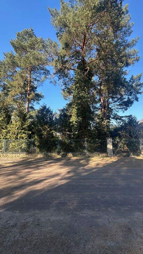 Hoppegarten OT Waldesruh Grundstücke, Hoppegarten OT Waldesruh Grundstück kaufen