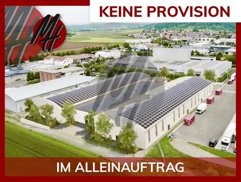 Hanau Halle, Hanau Hallenfläche