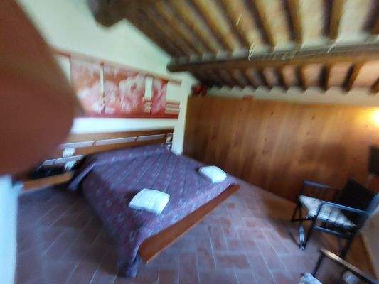 20240417_110353 (Kopie).jpg