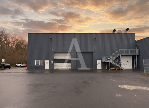 Köln Halle, Köln Hallenfläche