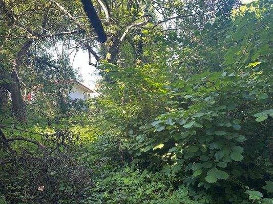 Verwunschener Garten