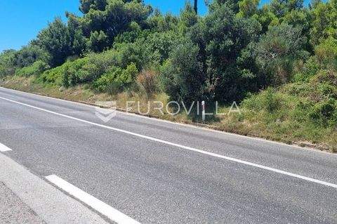 Konavle Bauernhöfe, Landwirtschaft, Konavle Forstwirtschaft