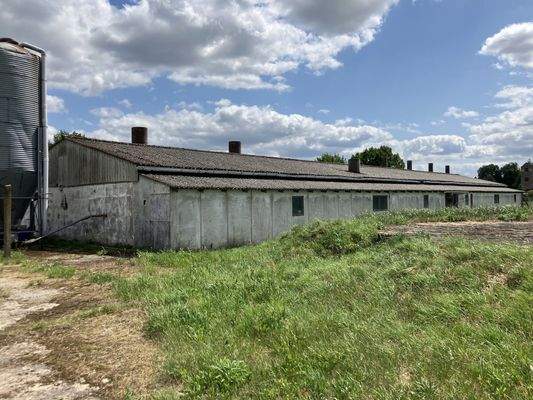 20250619_115937752_iOS